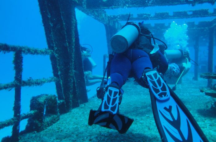 Wreck Dive in Cozumel