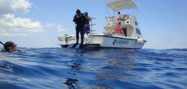 Scuba Diving Classes