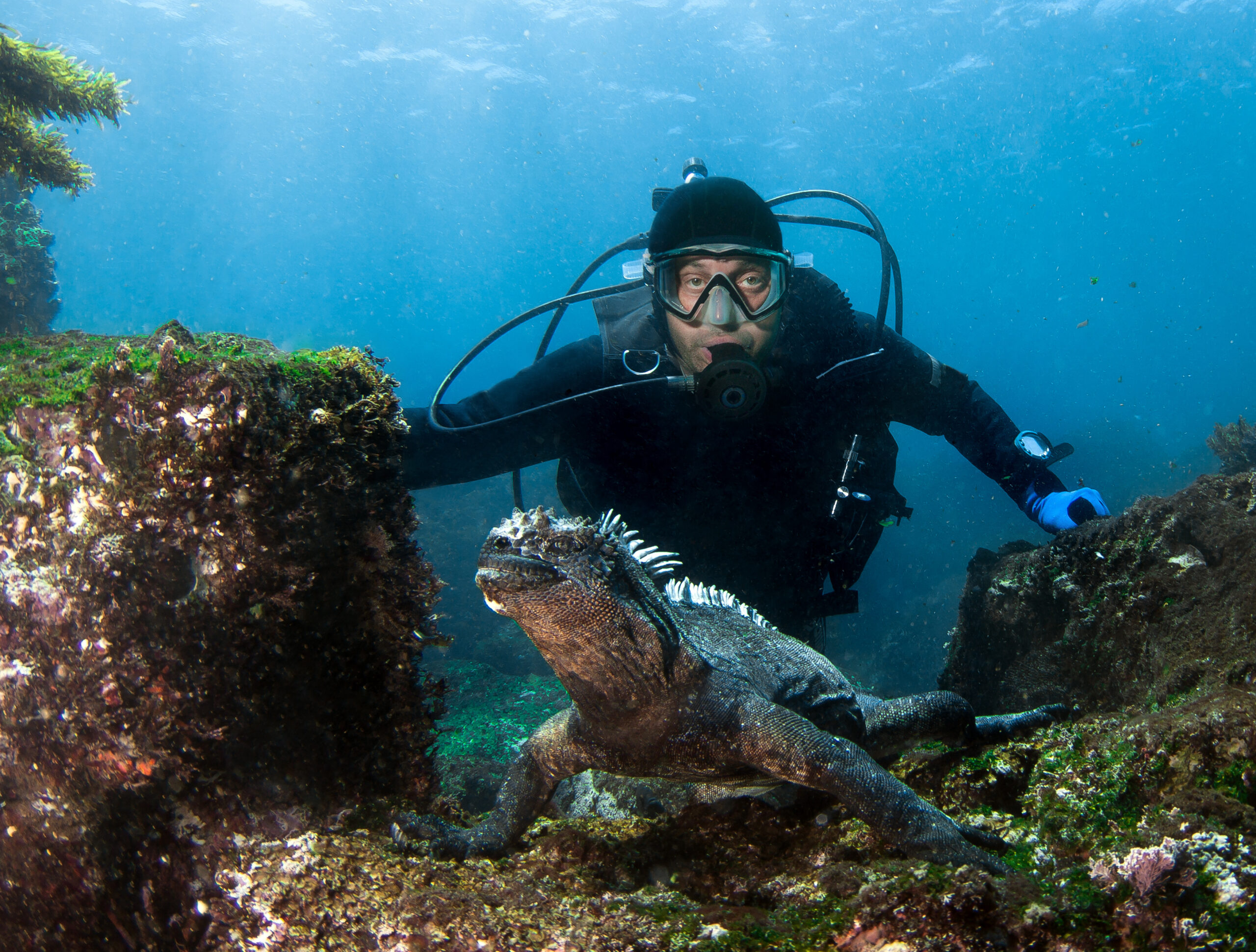 Galápagos scuba