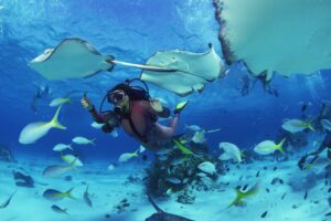 Discover these new marine species