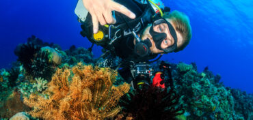 Your Crash Guide to Becoming a SCUBA Diver