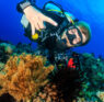 Your Crash Guide to Becoming a SCUBA Diver