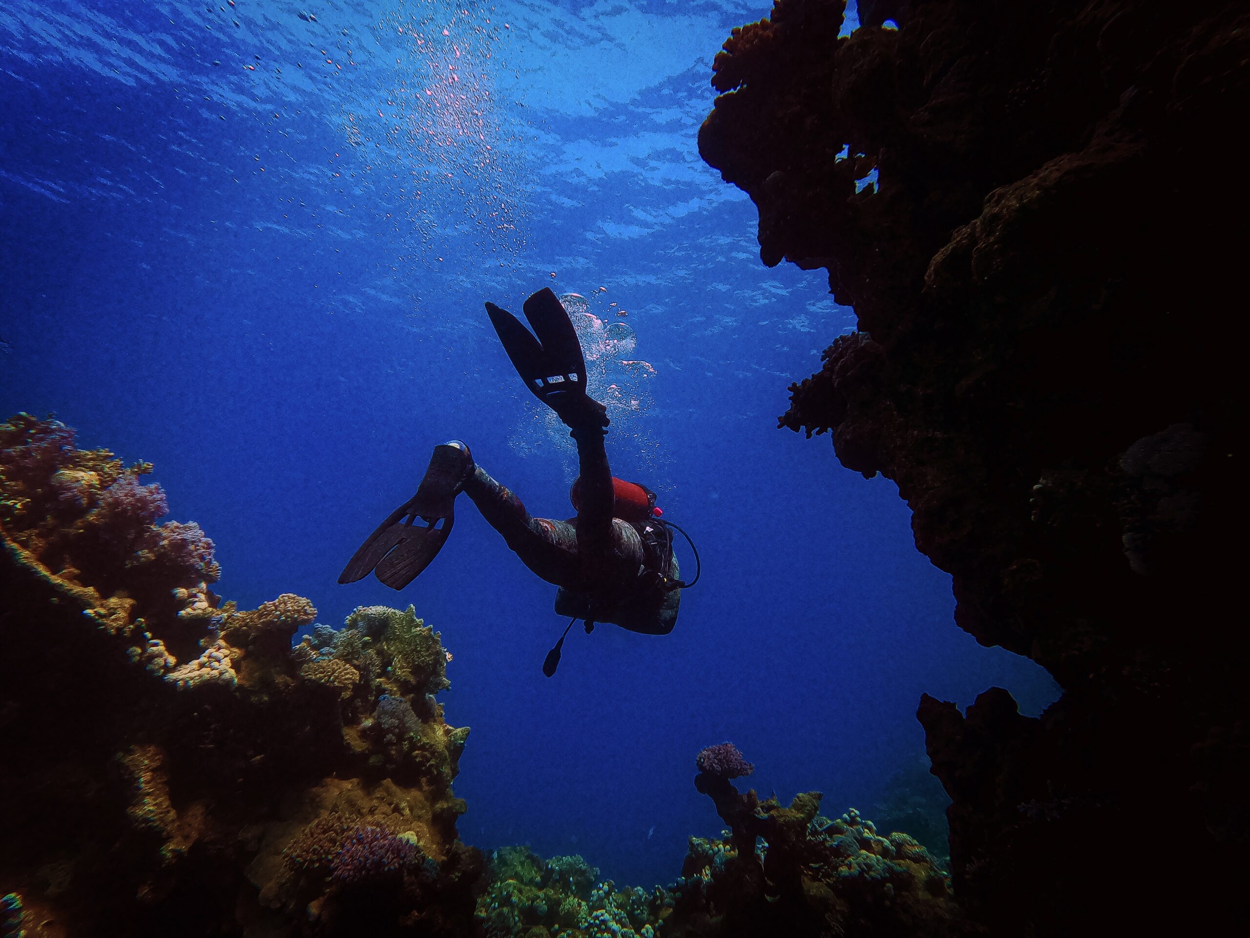preparing for your deep open-water dive (2)
