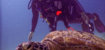 How SCUBA Diving Can Pioneer Trash and Environmental Efforts