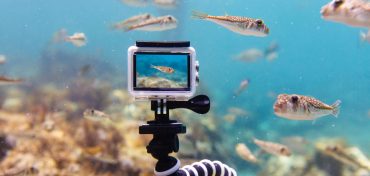 How To Film Stunning Underwater Videos For Social Media