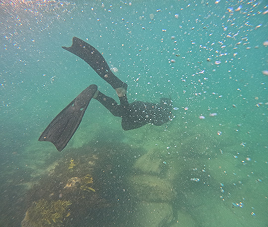 SCUBA dive