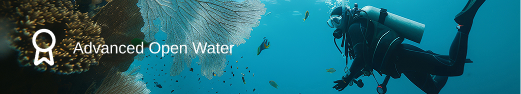 Advanced open water course