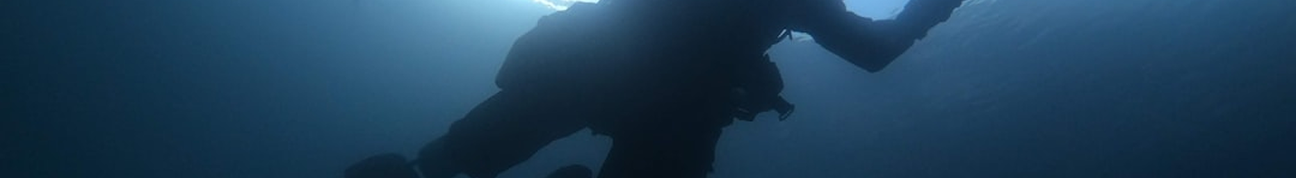 Scuba diver underwater